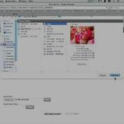 Editing Content And Adding Images In CMSMS