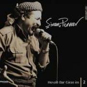 şivan Perwer çaye Berbena Orjinal