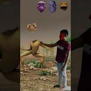 Patila Frog Shorts Youtubeshorts