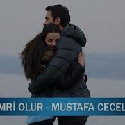Emri Olur Mustafa Ceceli Sen Anlat Karadeniz 8 Bölüm