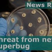 Threat From New Superbug BBC News Review
