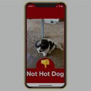 Hot Dog Not Hot Dog Demo On Claris FileMaker Go Using A CoreML Vision Model