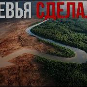 Как леса захватили Землю невероятная история деревьев динозавров цветов и человека