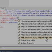 ComboBoxAutoComplete For XAML