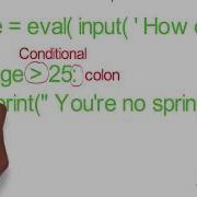 Conditionals And Loops In Python