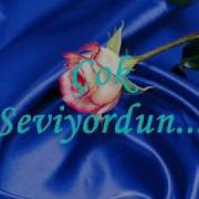 SERDEM COSKUN ALCAK