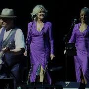 2025 07 18 Christopher Cross Arthur S Theme Best That You Can Do