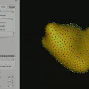 ShapeWorks Left Atrium Use Case Multi Scale