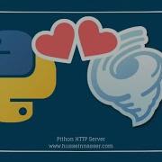 Writing A Python HTTP Server With Tornado Explained With 4 Examples