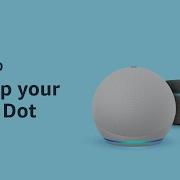 How To Set Up Echo Dot