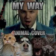 Limp Bizkit My Way Animal Cover