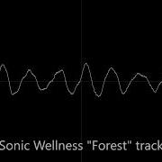 Sonic Wellness Forest Sample From Spectrasonics Atmosphere Dynamic Sprinklers
