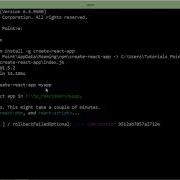 ReactJS Environment Setup Through NPM
