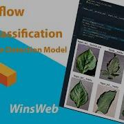 Tensorflow Transfer Learning Image Classification Plant Disease