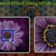 Zoom Image Mouse Hover Zoom Effect Using Html And Css CSS HTML Future Exam