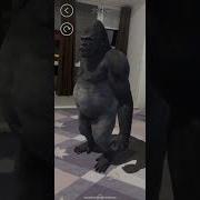 Unity AR Foundation Template AR Animals Downloadable