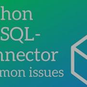 Python MySQL Connector Common Problems Data Not Saving Correctly DML DDL Issues