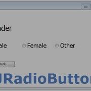 JRadioButton In Windows Builder Java Intact Abode