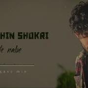 Afshin Shokri Bê Te Nabe Lyrics