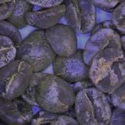 Coffee Processing Experiment El Manzano