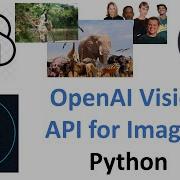 OpenAI GPT4 Vision API Python How To Analyze Images With Python