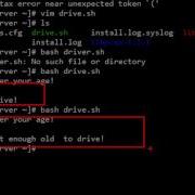 IF Statement In Bash Scripting