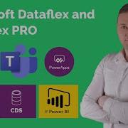 Microsoft Dataflex Dataflex Pro CDS