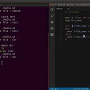 51 Shell Scripting Tutorial For Beginners 6 File Test Operators