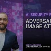 Adversarial Image Attacks Explained