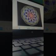 Draw A Flower Using Python Python Turtle Shorts Youtubeshorts Python3 Python