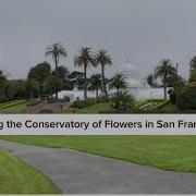 Visiting The Conservatory Of Flowers In San Francisco Plant Field Trip
