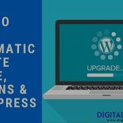 How To Setup Automatic Update Theme Plugins And Wordpress Core File