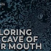 Your Mouth Is A Cave For Microbes