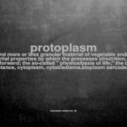 What Does Protoplasm Mean