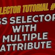 CSS Selector Tutorial 5 CSS Selector With Multiple Attribute