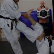Okinawan Karate The Science Of Fighting Dirty