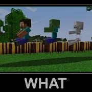WAIT WHAT Minecraft 35