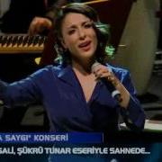 Ziynet Sali Canımın Yoldaşı Ol
