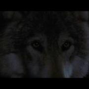 Dances With Wolves Fire Dance