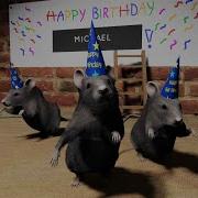 Birthday Rats Jerma985 Animation