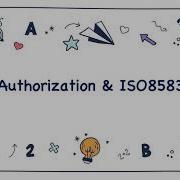 Payment Cards Traditional Authorizations Protocol Message Format ISO8583
