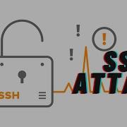 How To Brute Force Attack A SSH Server
