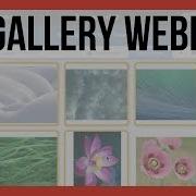 FM Gallery Webinar 2017 FileMaker Pro 16 Videos Online FileMaker 16 Training Videos