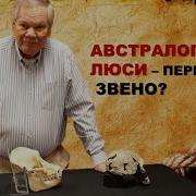 Австралопитек Люси переходное звено Др Дэвид Ментон