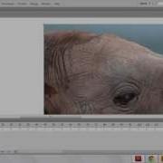 Slideshow Tutorial In Aodobe Flash
