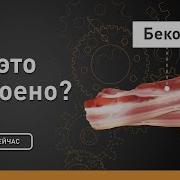 Бекон Как это устроено Discovery
