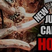 Обновления нового вольера для ковров Jungle Carpet Enclosure комнаты для рептилий