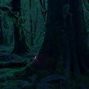 Enchanted Mushroom Forest Magical Night Ambience Fireflies Nature ASMR Frogs Crickets