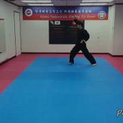 Taekwondo Poomsae 5 Oh Jang Slow Motion Mirror