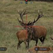 ATN X Sight 4K BuckHunter Ultra HD Sensor With Ultra HD Optics